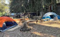 CM Mindfulness Campamento & Retiros