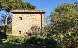 The Barn - Podere La Branda Bio Agri Resort