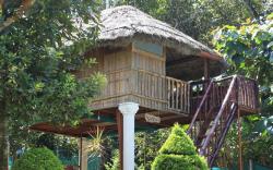 Green Ark Resorts