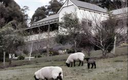 House on the Hill Bed and Breakfast