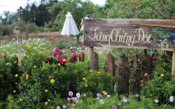 Lưng Chừng Đồi Sapa- Homestay & Coffee BBQ Garden