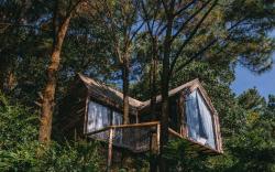 The Big Pine House