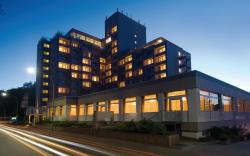 Soaltee Hotel Frankfurt Messe
