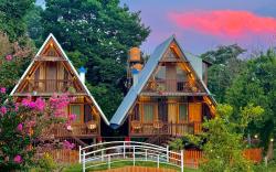 Dreamwoods by Viraasat-E-Bir