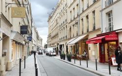 Charming Apartment Faubourg St Honore Madeleine