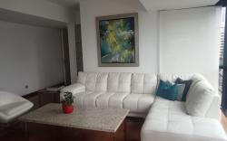 Fancy Miraflores Apartment