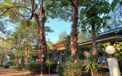 Palmhill homestay & cafe
