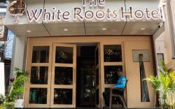 The White Roots Hotel