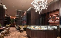 Hotel Grand Bach Tokyo Ginza