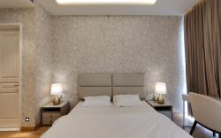 Five Star Lavish Flat in Leela Residence