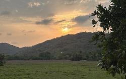 MiCasa by the meadows