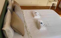 Imaculada Home Royal - Centro de Braga, Historico