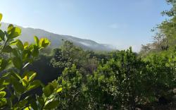 Desai's Mango Retreat