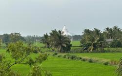 Tranquil Sanctuary Yala