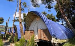 Dieng Glamping Syriah