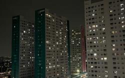 DLP Green Pramuka