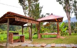 Nature's Eden @ Janda Baik