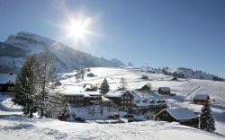 Hotel Stump's Alpenrose