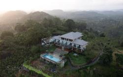 Ligness Green Odyssey 