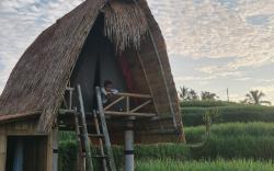 swaha retreat ubud