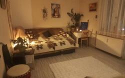 Apartment in the center