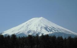 Evergreen-Fuji