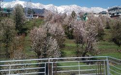 Tranquil trails home stay naddi