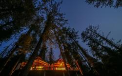 Windsor Duplex Cabin - Bird Scouting | BBQ