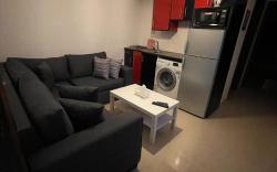 Apartment with Modern Amenities