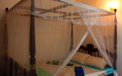 Sun Bird Eco Guest Mirissa