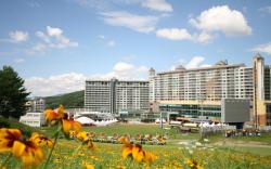 Welli Hilli Park Resort