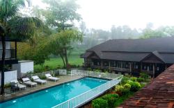 West Bay Palm TreeHeritage Beach Resort