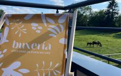Nature cottage with spa - Buxeria horse side