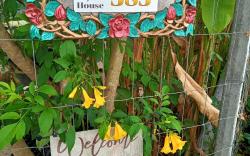Tiny House บ้านไร่ระเบียงดอยเชียงดาว