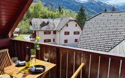 Juliana Apartment- AC bikes SUP  Bled Bohinj