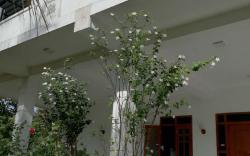 Colombo Airport Field View Villa