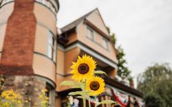 The Queen, A Victorian Bed & Breakfast