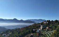 Flower and Star Garden Bed and Breakfast