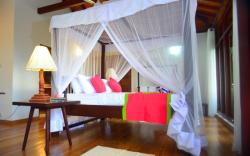 Tropical Retreat