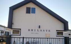 Paju Espacio Brillante