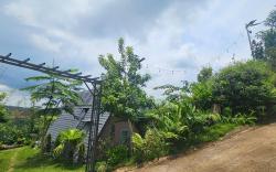 IFK GARDEN