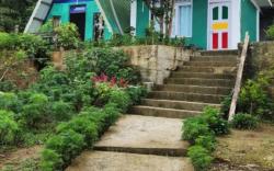 Dara Homestay Charkhole, Mountain View
