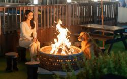 Evergreen Pet-Friendly Pension, Taean