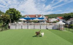 Evergreen Pet-Friendly Pension, Taean