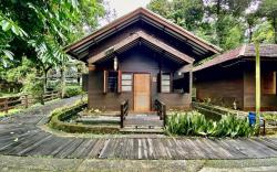 Pondok Virosa 5 Mezzanine Forest & Farm ByDamaresa