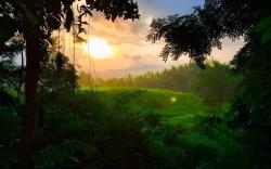 Lasan Mas Guesthouse