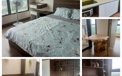 Căn 1 phòng ngủ S3.16, Sky Oasis, Ecopark