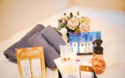 秋葉原で一番安く泊まれる！Hotel Plaisir Akihabara