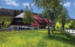 Landgasthaus Backhof-Helmle