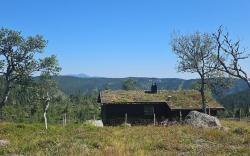 Magic View | Unspoiled nature | Summer pasture